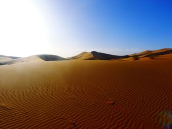 Sand dunes in the sahara