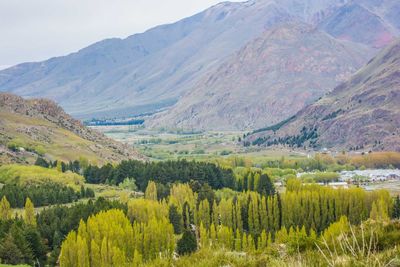 Scenic view of vineyard against mountain range