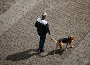 High angle view of man with dog on footpath