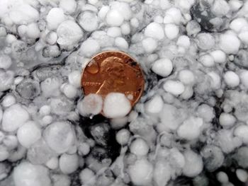 High angle view of pebbles in container