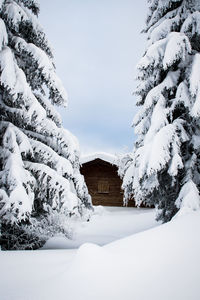 Snow covered landscape against sky