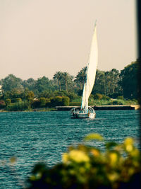 Boat sailing on river against clear sky