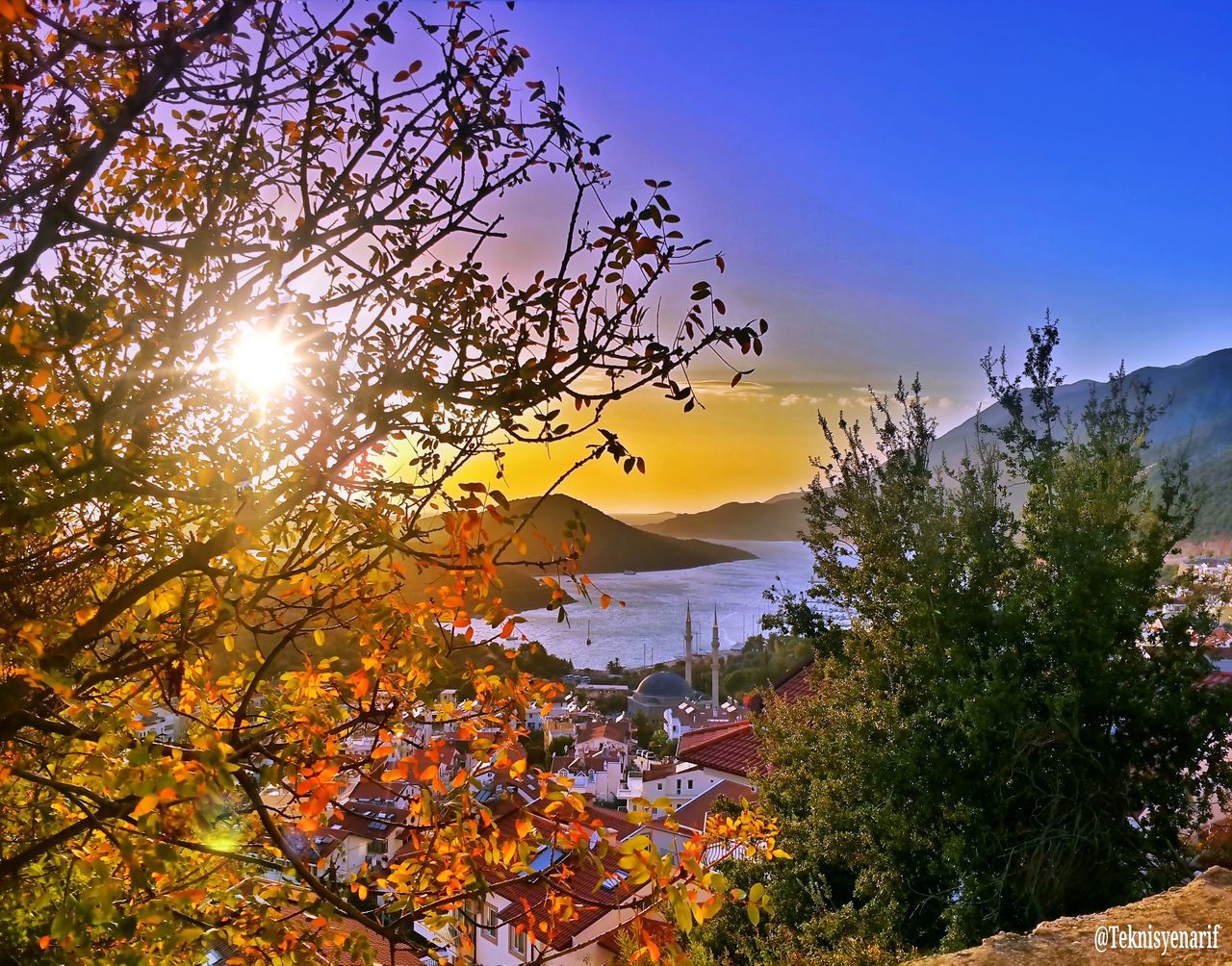 VIEW OF TREES AGAINST CALM SEA