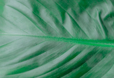 Full frame shot of abstract background