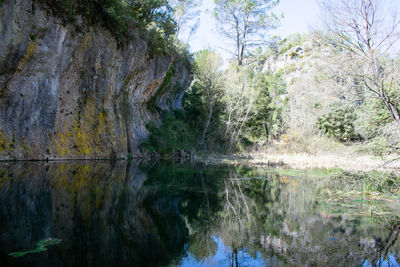 Scenic view of lake in forest