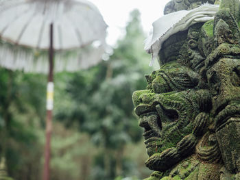 Close-up of statue against blurred background