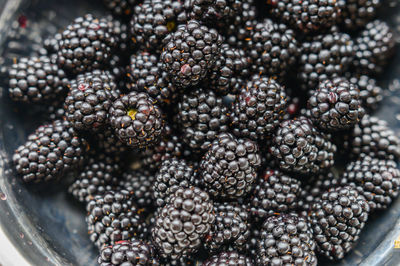 Full frame shot of berries