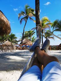 Low section of person on palm tree at beach against sky