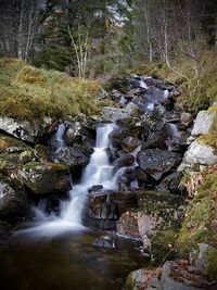 Stream flowing through rocks in forest