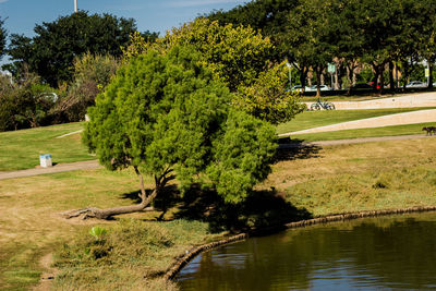 Scenic view of lake