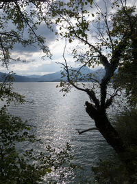 Scenic view of sea during sunset