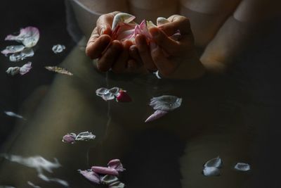 Close-up of hand holding flowers