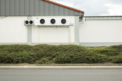 Road by plants against building