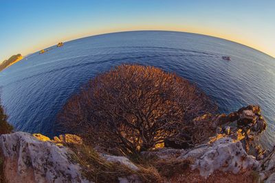 Scenic view of sea against clear sky