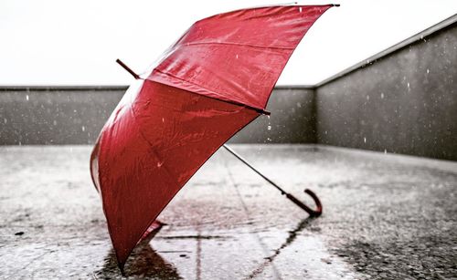 Close-up of wet umbrella during rainy season