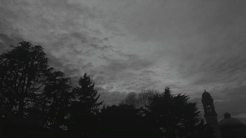 Low angle view of trees against sky