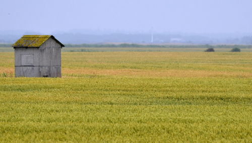 Barn on field against sky