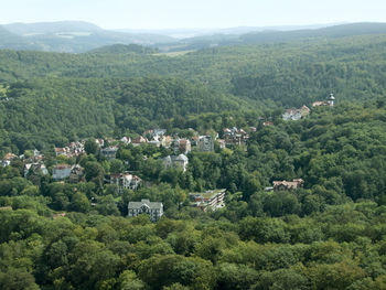 High angle view of trees on landscape