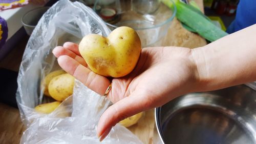 Close-up of hand holding apple