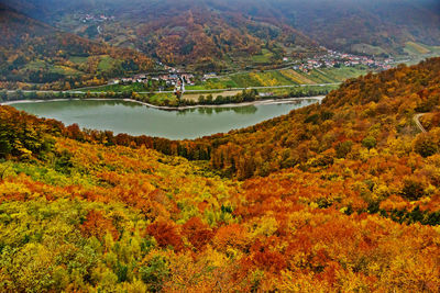 Scenic view of landscape during autumn