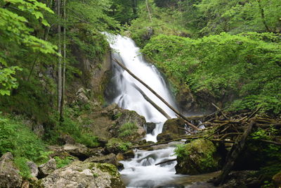 Stream flowing through rocks in forest