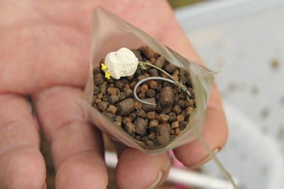 Close-up of hand holding food