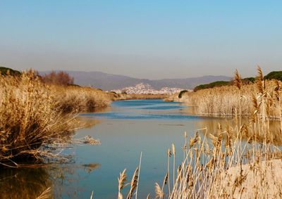 Scenic view of lake against clear sky