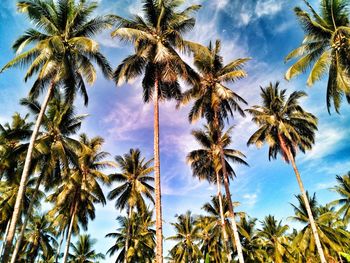 Low angle view of palm trees against blue sky