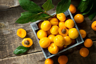 High angle view of orange fruits on table
