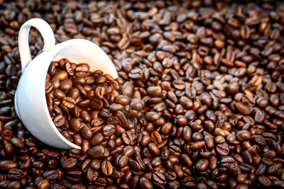 Close-up of coffee beans