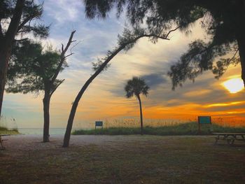 Scenic view of field against sky during sunset