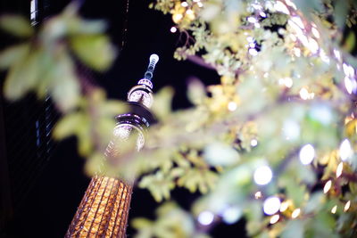 Low angle view of illuminated christmas lights