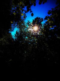 Low angle view of trees against blue sky