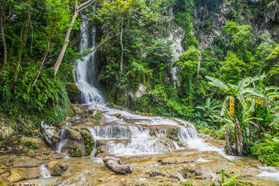 Scenic view of waterfall in forest