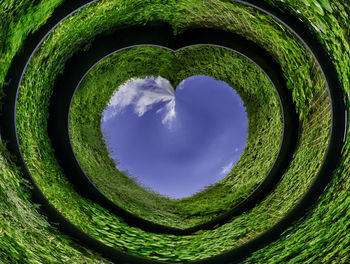 Digital composite image of heart shape hole in tree