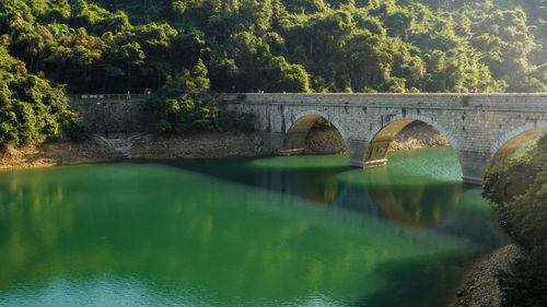 Arch bridge over river against trees