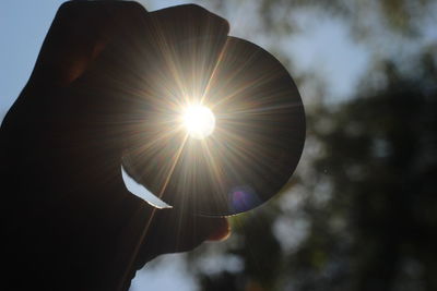Sun shining through tree