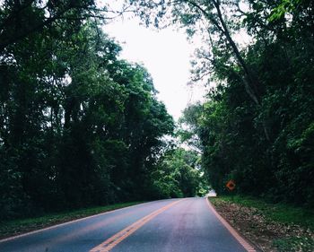 Road amidst trees in forest against sky