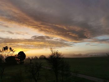 Silhouette trees on field against sky during sunset