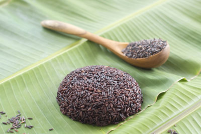 Close-up of rice on leaf