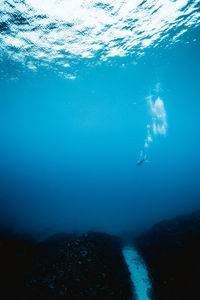 Man swimming in sea