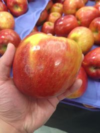 Close-up of hand holding apple