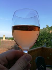 Close-up of hand holding glass of drink against sky