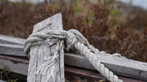 Close-up of rope tied on wooden post