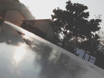 Low angle view of trees and building against sky