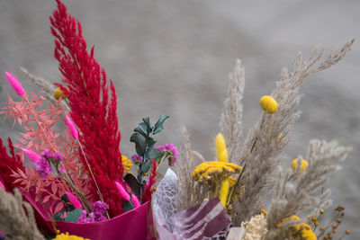 Close-up of yellow flowering plant