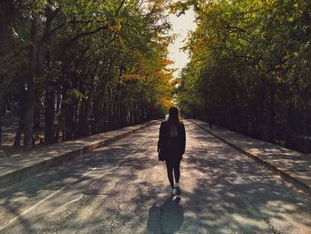 Rear view of man walking on footpath amidst trees