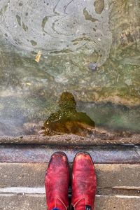 Low section of person standing by lake