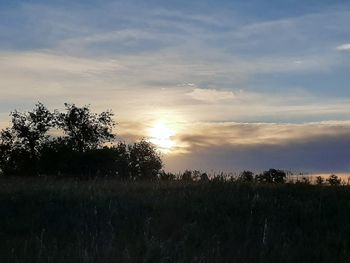 Scenic view of field against sky during sunset