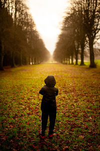 Rear view of man standing on land during autumn